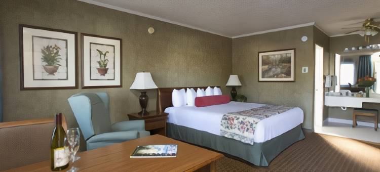 Best Western Plus Black Oak图片