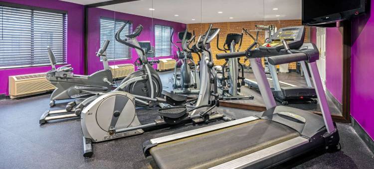 La Quinta Inn & Suites by Wyndham the Woodlands/Spring图片