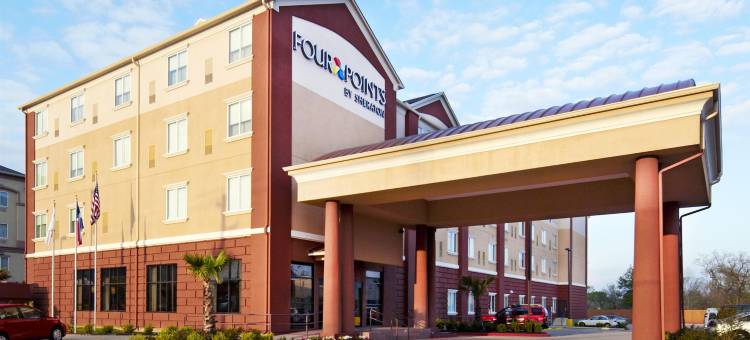 休斯顿霍比机场福朋喜来登酒店(Four Points by Sheraton Houston Hobby Airport)图片