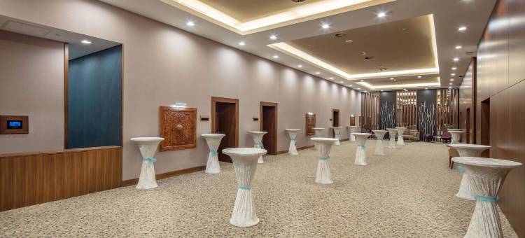 Accom Hotel Sivas图片