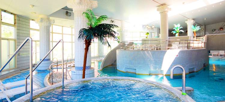 龟之井阿苏公园度假村(旧：阿苏的司酒店)(Kamenoi Hotel Aso Park Resort( Old：Hotel Aso no Tsukasa ))图片