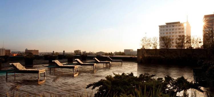 墨西哥城希尔顿改革大道酒店(Hilton Mexico City Reforma)图片