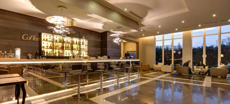 米兰展会克利马酒店(Klima Hotel Milano Fiere)图片