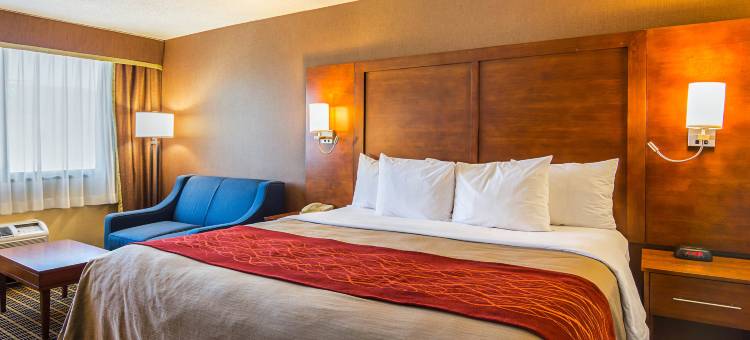 舒适酒店(Comfort Inn)图片