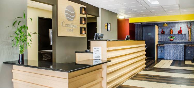 新坎伯兰哈里斯堡拉昆塔温德姆套房酒店(La Quinta Inn & Suites by Wyndham New Cumberland-Harrisburg)图片