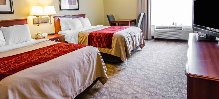 埃文斯维尔东舒适酒店(Comfort Inn Evansville East)图片