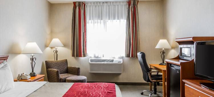 舒适酒店-埃尔斯沃思巴尔港(Comfort Inn Ellsworth - Bar Harbor)图片