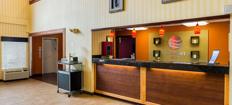 阿尔塔维斯塔品质酒店套房-南林兹堡(Quality Suites Altavista – Lynchburg South)图片