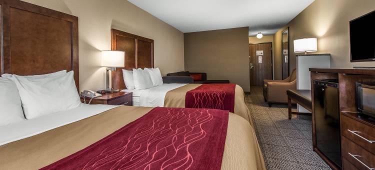 丹佛西阿瓦达站舒适酒店(Comfort Inn Denver West Arvada Station)图片