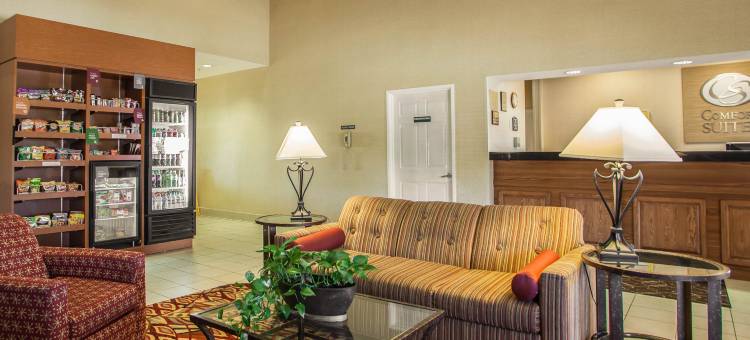 大学区舒适套房标准酒店(Comfort Suites Normal University Area)图片