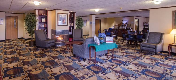 拉迪森旗下乡村旅馆及套房-普莱森特山-拉辛西部-WI(Country Inn & Suites by Radisson, Mt. Pleasant-Racine West, WI)图片