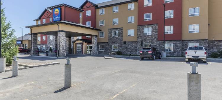 红鹿舒适套房酒店(Comfort Inn & Suites)图片