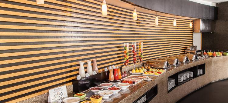 NH精选旅馆-墨西哥城圣达菲(NH Collection Santa Fe)图片