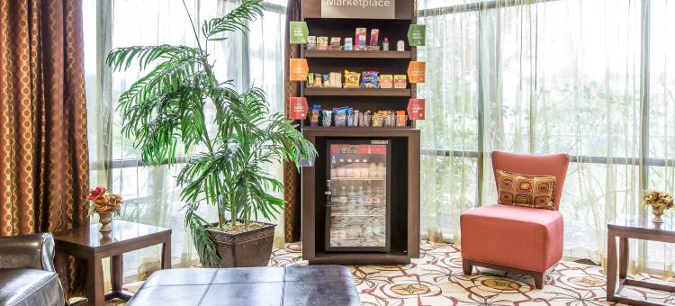 舒适套房酒店-金斯湾海军基地区(Comfort Suites Kings Bay Naval Base Area)图片