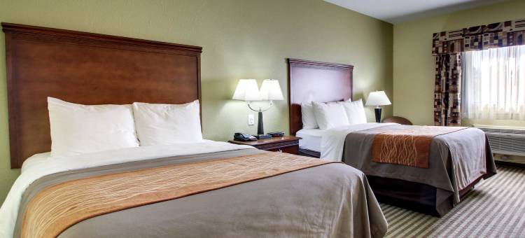 密西西比州拜拉姆/杰克逊南丽怡酒店(Country Inn & Suites by Radisson, Byram-Jackson South, MS)图片