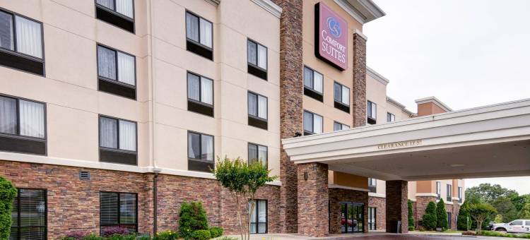 舒适套房酒店-小石城西(Comfort Suites Little Rock West)图片