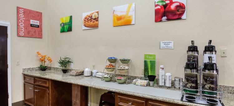 休斯顿西北赛菲尔凯艺套房酒店(Quality Suites Houston NW Cy-Fair)图片