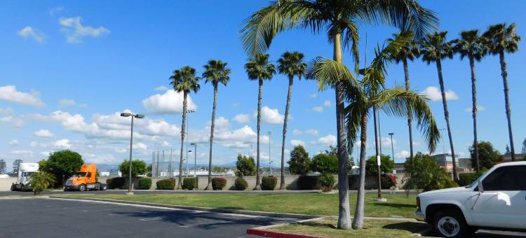 阿纳海姆橘郡贝斯特韦斯特优质酒店(Best Western Plus - Anaheim Orange County Hotel)图片