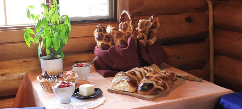 田夜营地旅馆(Ten-ee-ah Lodge & Campground)图片