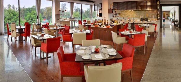 新德里机场大道福朋喜来登酒店(Four Points by Sheraton New Delhi, Airport Highway)图片