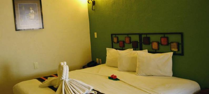 阿尔达马酒店(Hotel Aldama)图片