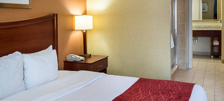 彼得斯堡舒适酒店，靠近李堡区域(Comfort Inn Petersburg Fort Lee Area)图片