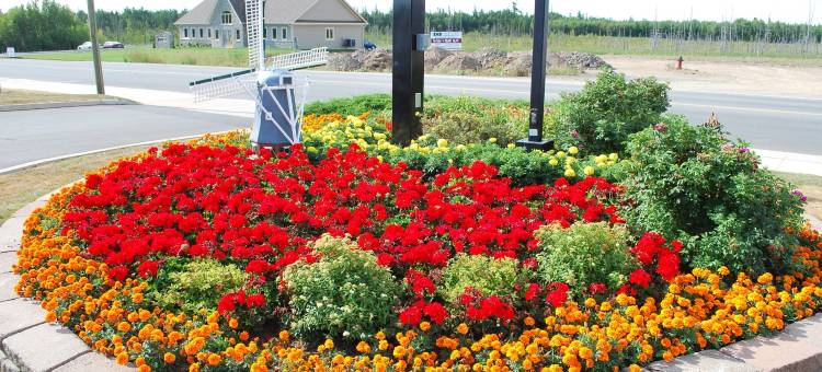 阿姆斯特丹凯艺套房酒店(Quality Inn & Suites Amsterdam)图片