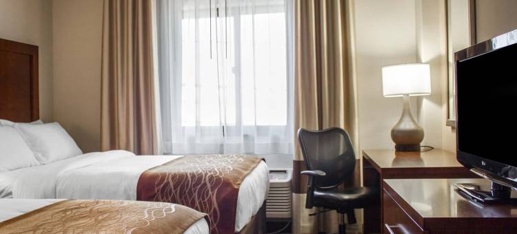 塞奥西特长岛舒适酒店(Comfort Inn Syosset-Long Island)图片