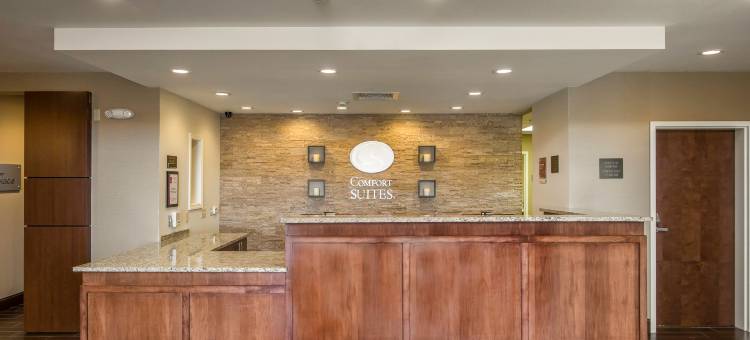 舒适套房酒店(Comfort Suites - Dodge City)图片