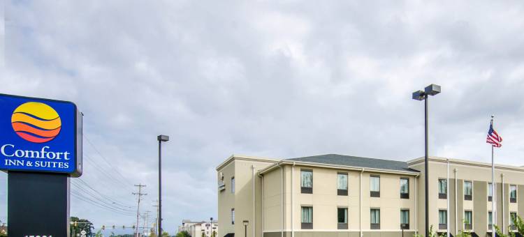 林奇堡机场-大学区舒适套房酒店(Comfort Inn & Suites Lynchburg Airport - University Area)图片