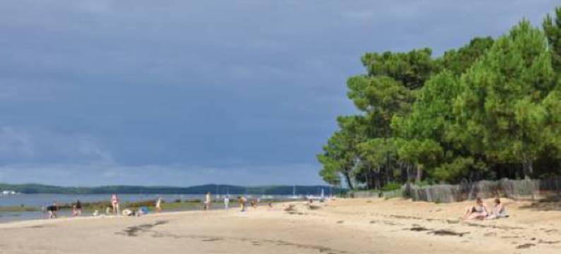 拉路易斯安那旅馆(Chambres d'Hôtes Villa la Louisiane)图片