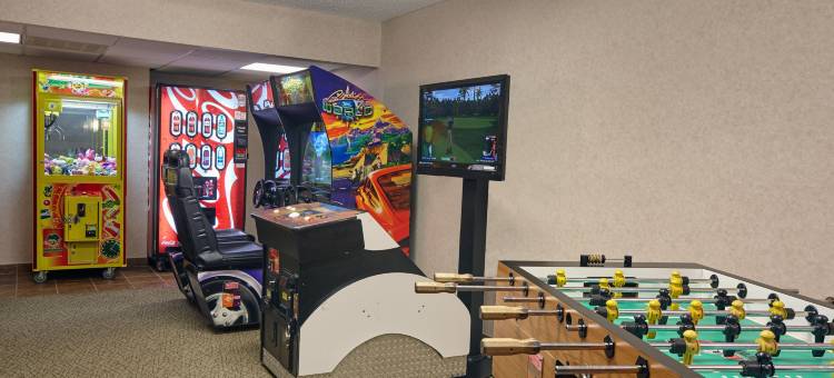 Holiday Inn & Suites 芝加哥罗斯奇姆(惠顿)(Holiday Inn & Suites Chicago-Carol Stream (Wheaton))图片