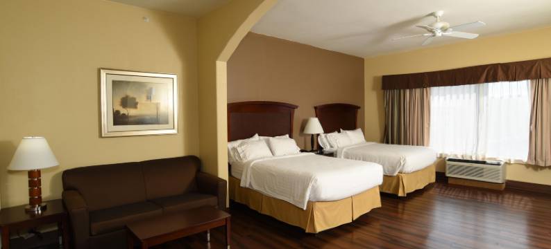 智选假日套房酒店塞金(Holiday Inn Express & Suites SEGUIN by IHG)图片