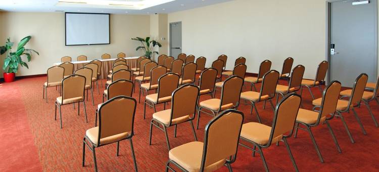 Holiday Inn & Suites 蒙特利尔机场(Holiday Inn & Suites Montreal Airport)图片