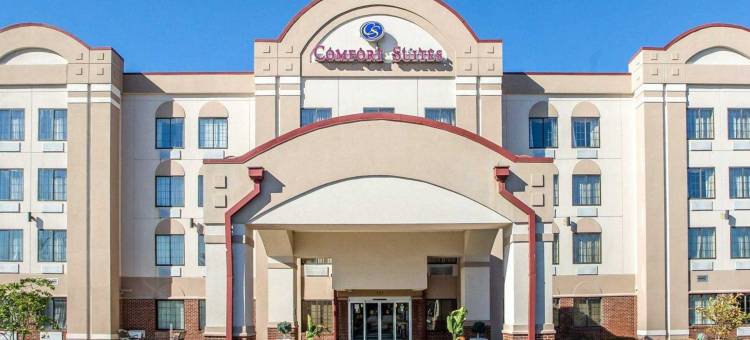 斯普林菲尔德舒适套房酒店(Comfort Suites)图片