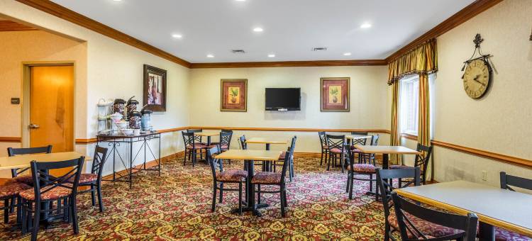 舒适套房酒店(Comfort Suites)图片