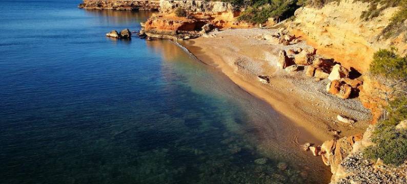 德尔波特酒店(Hotel del Port)图片