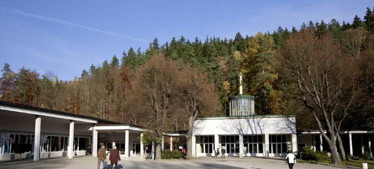 阿尔贝国王酒店(Hotel König Albert)图片