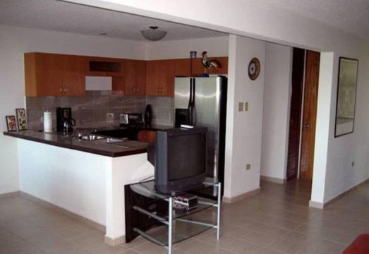 Beautiful Villa at Sandy Beach, Rincon Hotel Overview