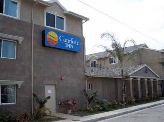 Comfort Inn Cockatoo Near Lax Airport Hotel Reviews And Room
