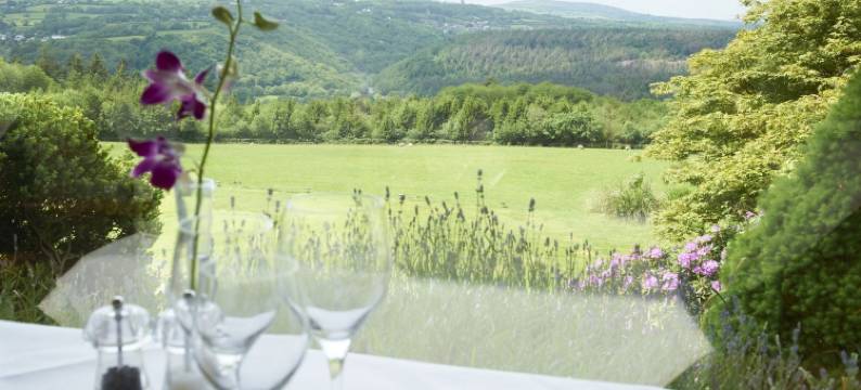 普伦蒂霍恩酒店(The Horn of Plenty)图片