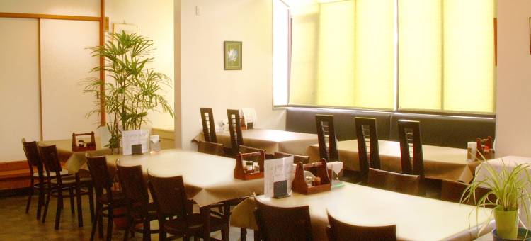 一宫绿色酒店(Ichinomiya Green Hotel)图片