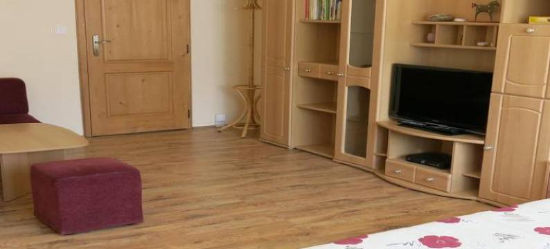 Aparmán Srní 121图片