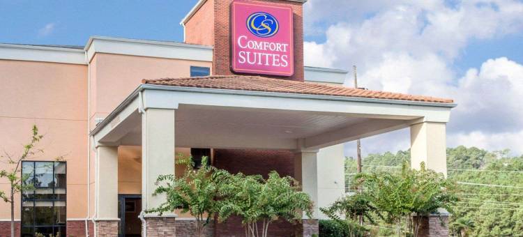 舒适套房酒店(Comfort Suites)图片