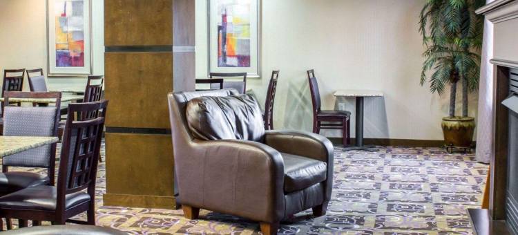 舒适套房酒店(Comfort Suites)图片