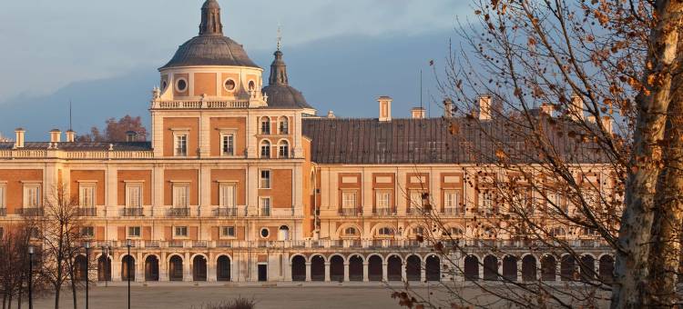 帕拉西奥亚兰珠斯NH精选酒店(NH Collection Palacio Aranjuez)图片