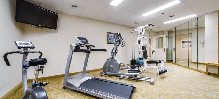 蒙地卡罗布兰普顿旅馆(Monte Carlo Inn Brampton)图片