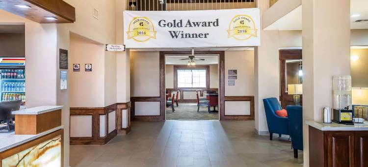 爱丁堡美茵斯坦套房酒店(MainStay Suites Edinburg South)图片