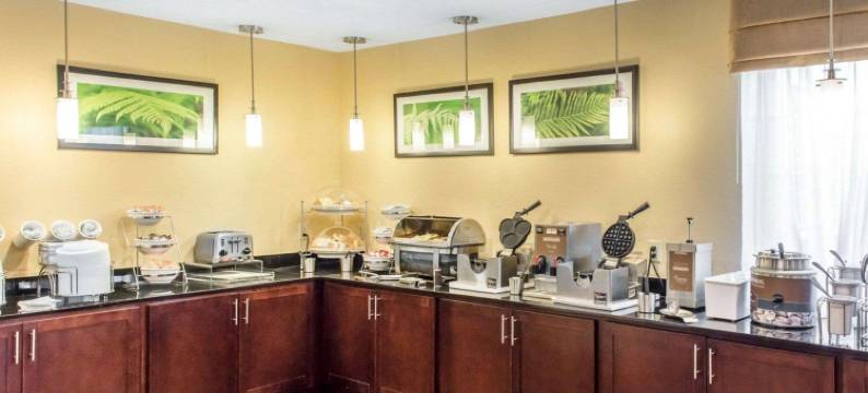 美斯泰套房-匹兹堡机场(MainStay Suites Pittsburgh Airport)图片