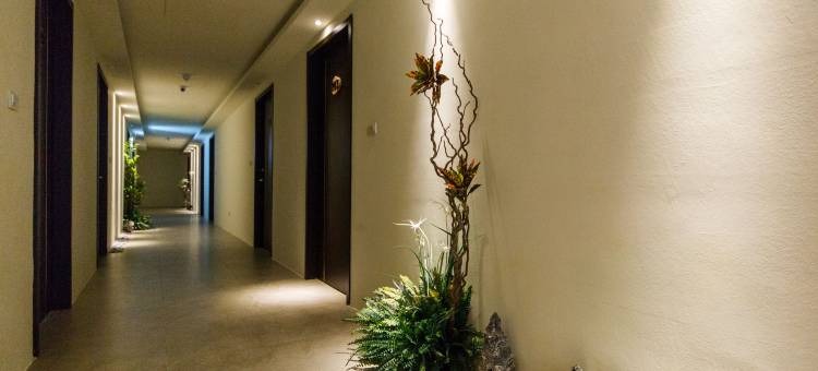 新北大埔硫磺温泉商旅图片